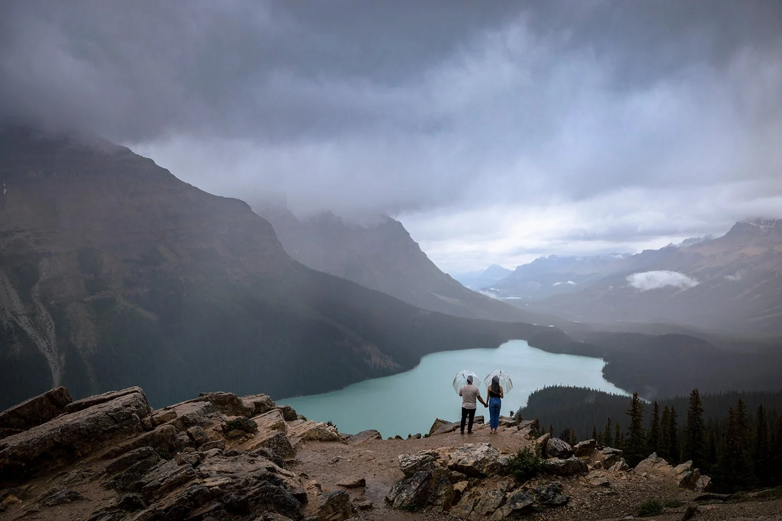 Moody Summer Engagement Session at Peyto Lake — Wild Alpine Image Co.