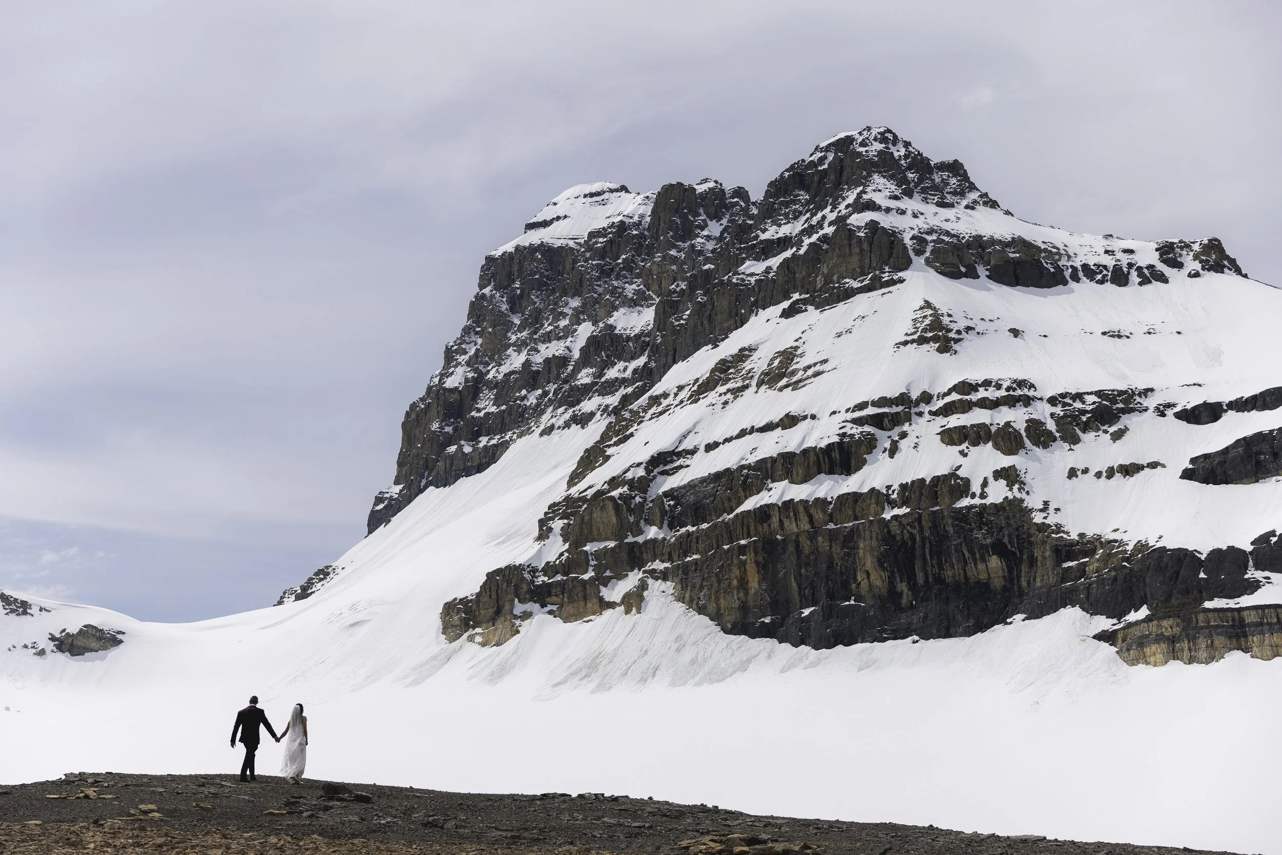 Wild_Alpine_20260615_48994.jpg