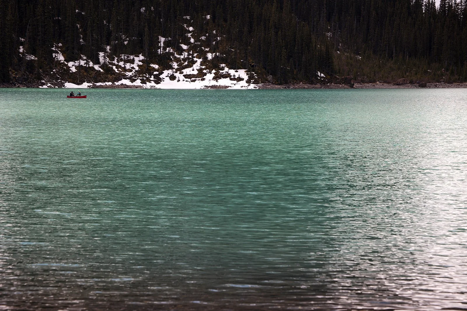 moraine-lake-elopement-ceremony-planned-and-photographed-by-Wild-Alpine-Image-Co.-Banff's-bespoke-elopement-specialists
