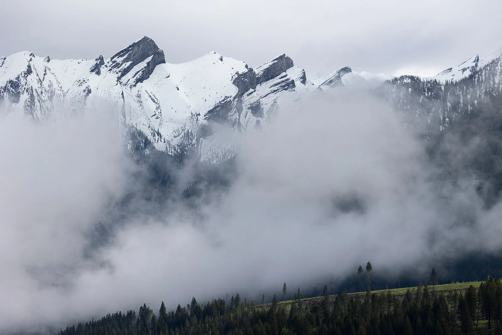 morning-elopement-prep-at-an-air-bnb-in-canmore-with-Wild-Alpine-Image-Co.