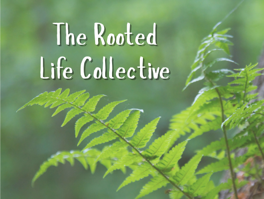 A serene natural landscape symbolizing inner peace, healing, and the calming rituals taught in the Step Into Self-Love course.