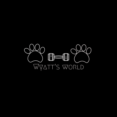 Wyatts World Fitness