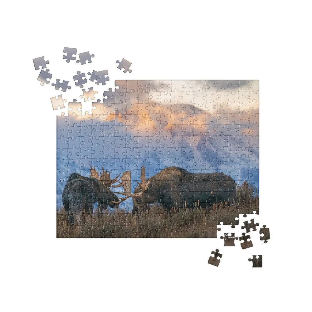 jigsaw-puzzle-252-pieces-front-691d41500d08e.jpg