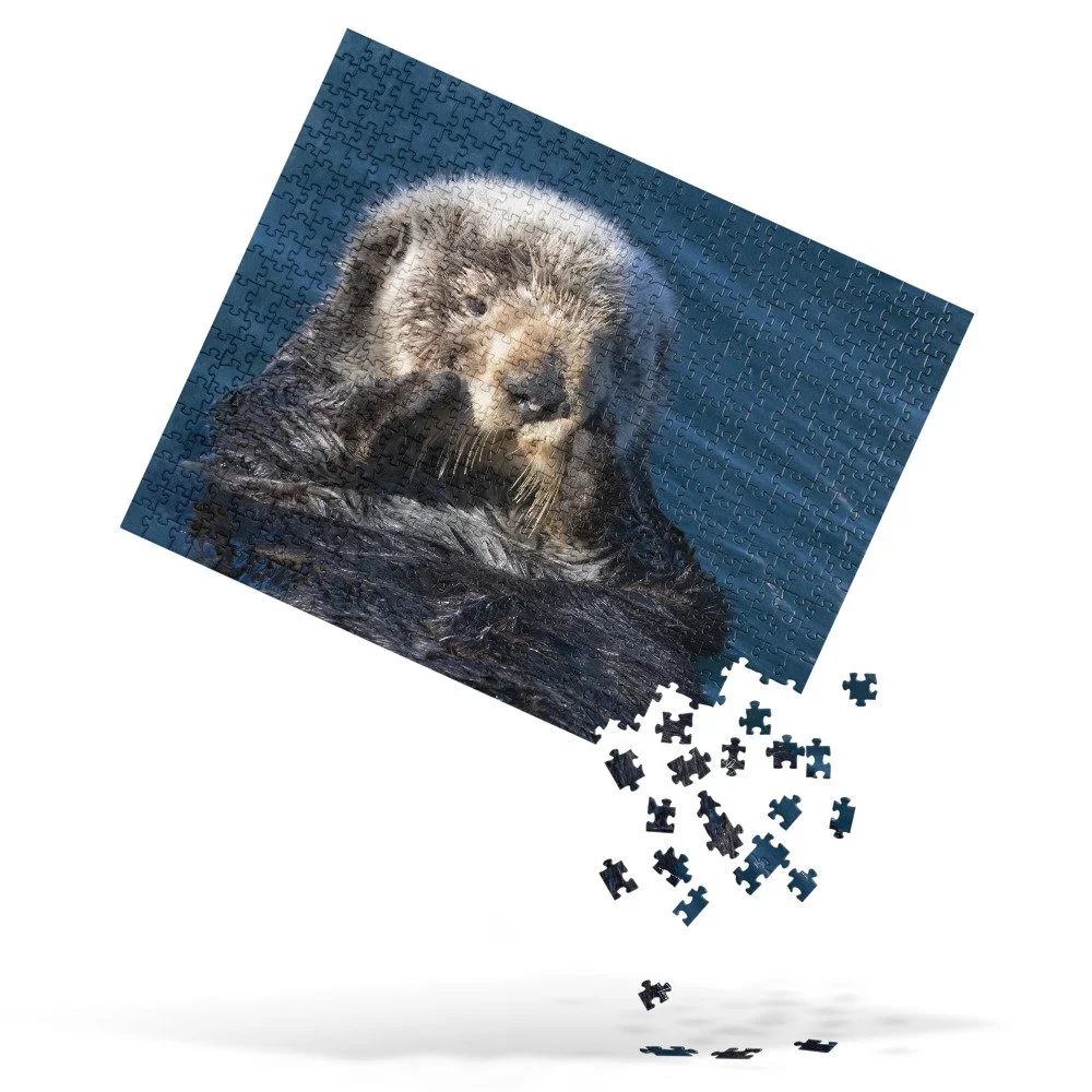 jigsaw-puzzle-520-pieces-front-68d30da63f335.jpg