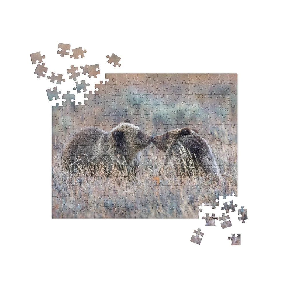 jigsaw-puzzle-252-pieces-front-68d30e4ca2c7c.jpg
