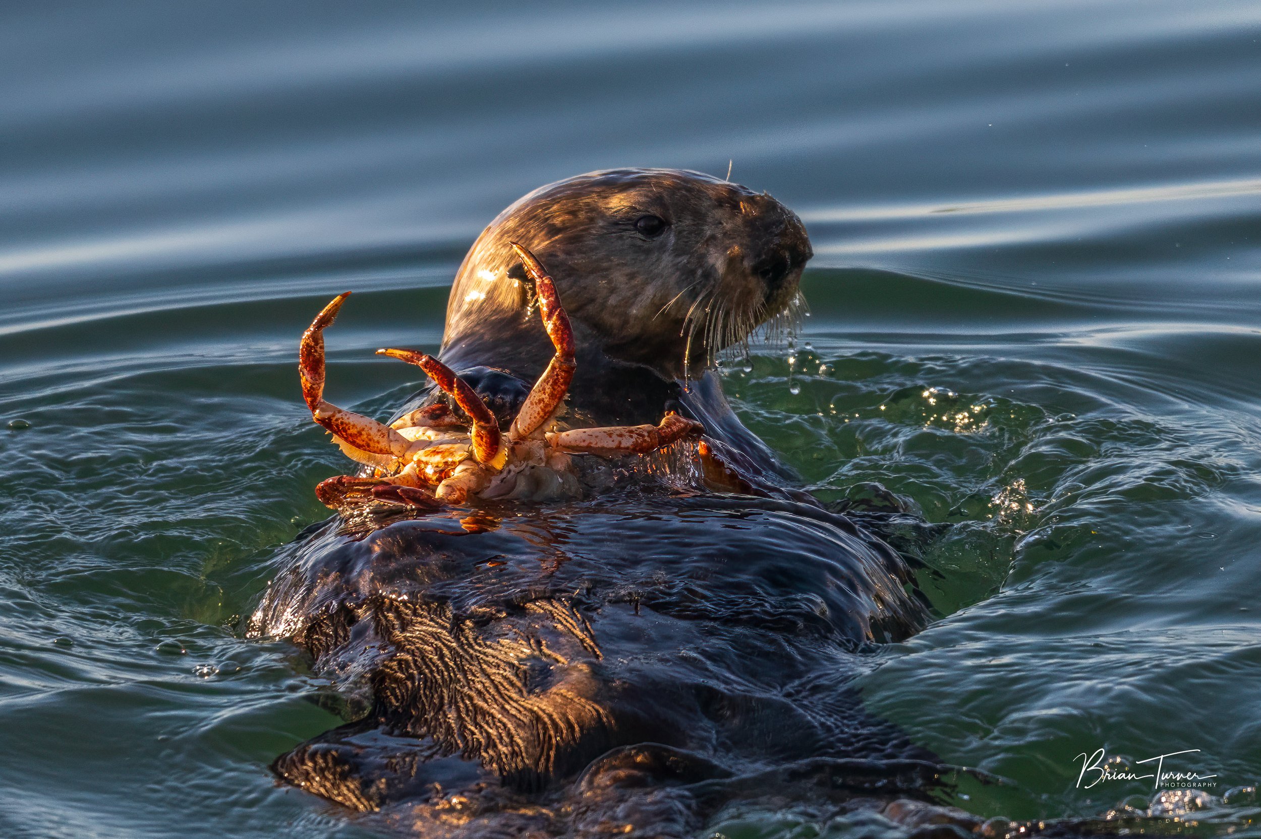 DSC_3776-Edit.jpg