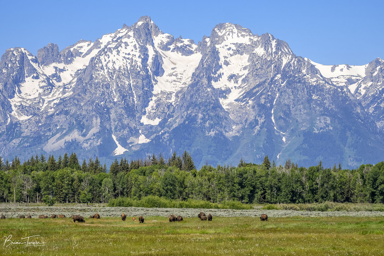 DSC_3114.jpg