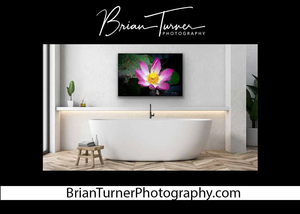 Mock-Up-Template14.jpg