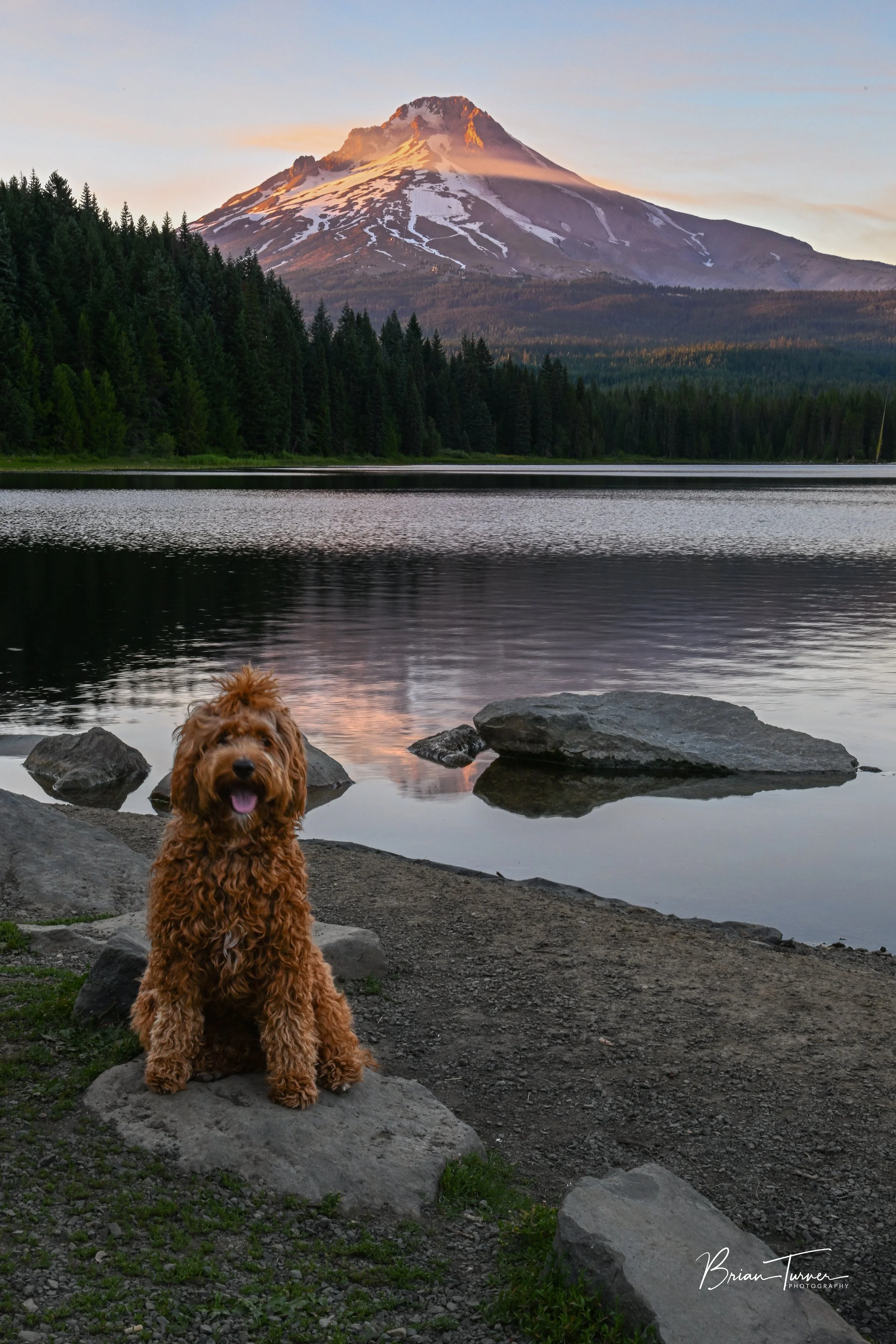 DSC_7207-Edit-Edit.jpg