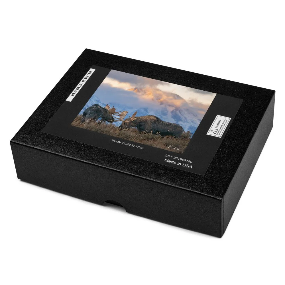 jigsaw-puzzle-520-pieces-product-details-2-691d41500d3c0.jpg