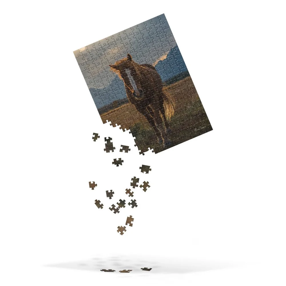 jigsaw-puzzle-252-pieces-front-68d30dc67b0e5.jpg