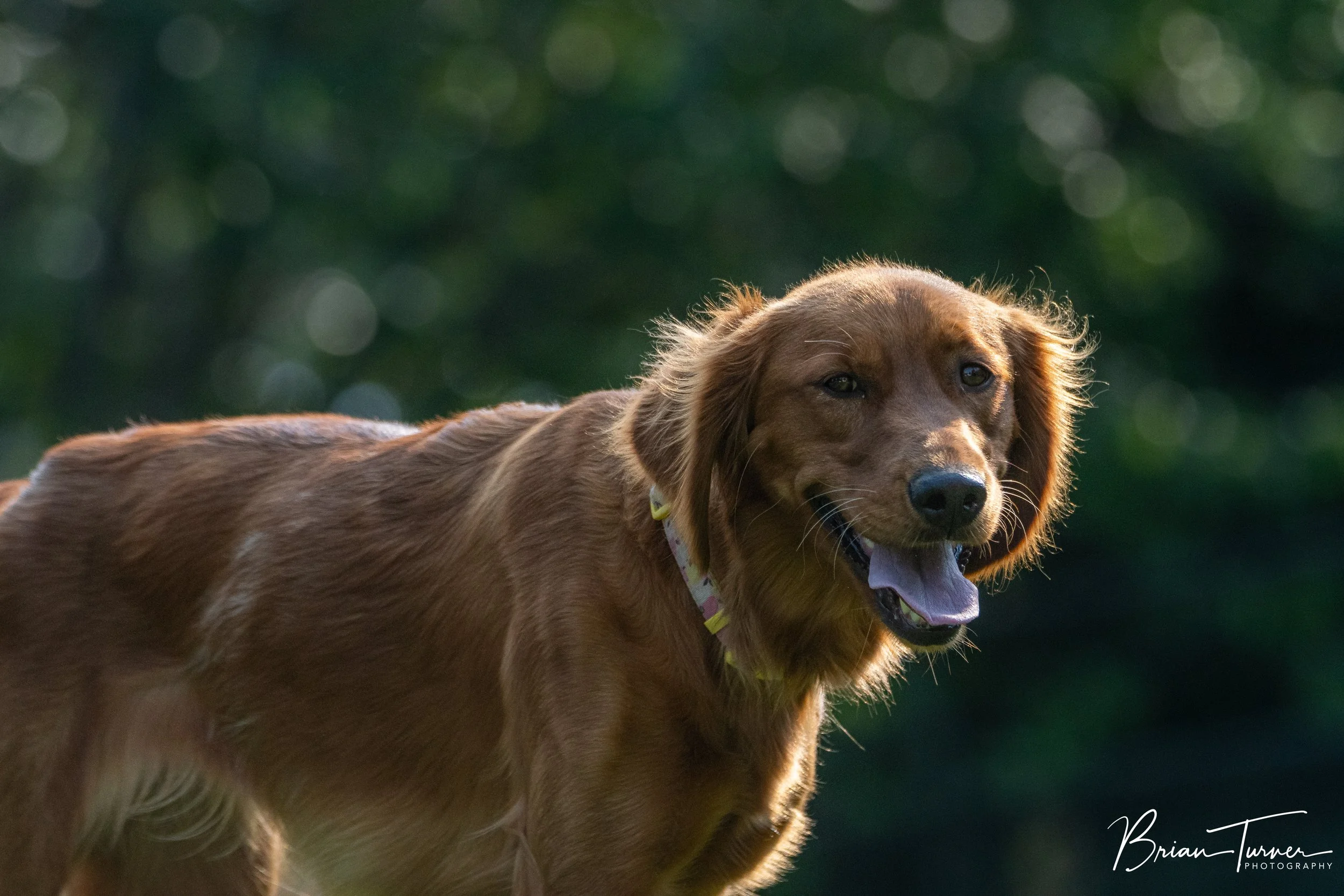 DSC_5976.jpg