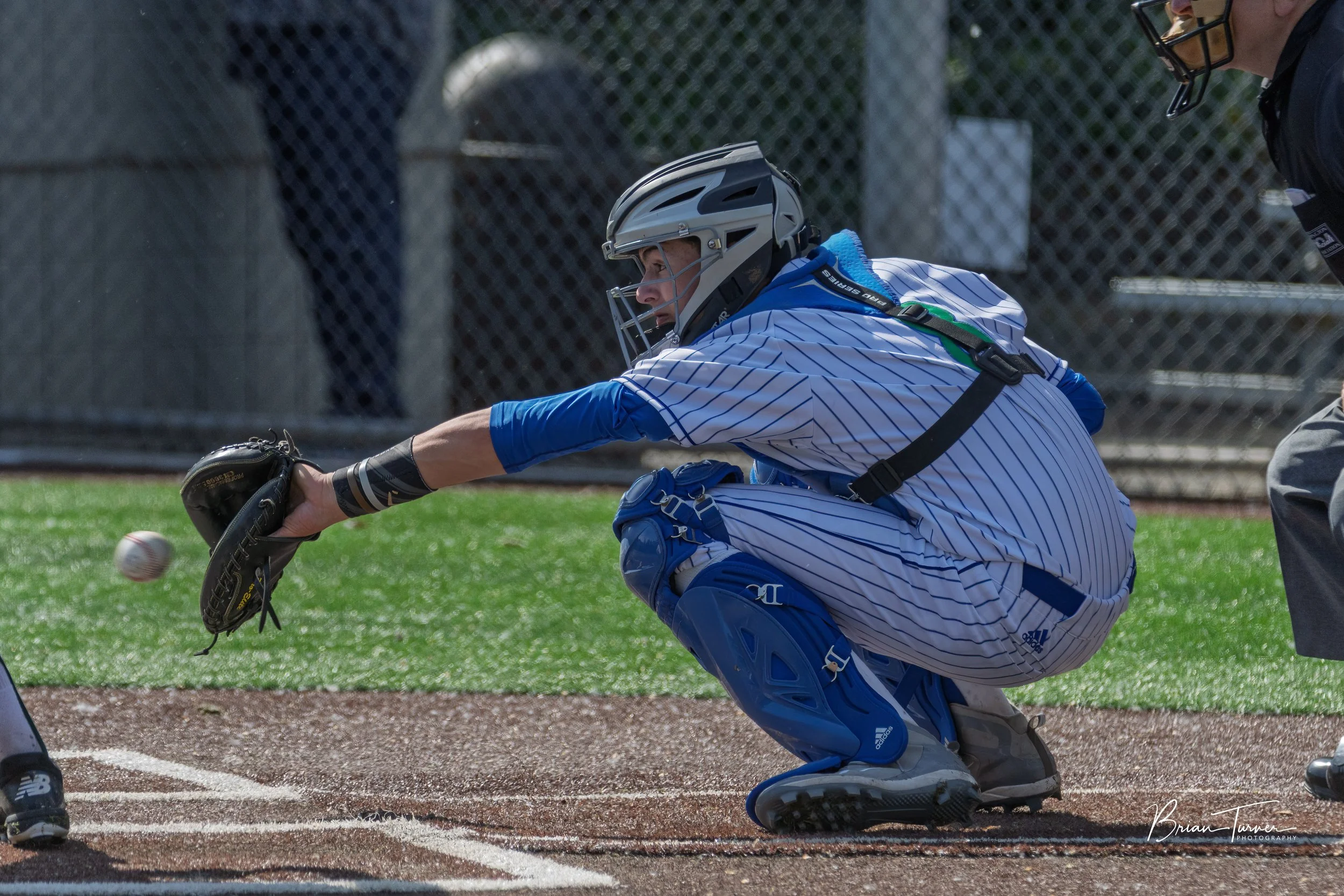 DSC_5395-Edit.jpg