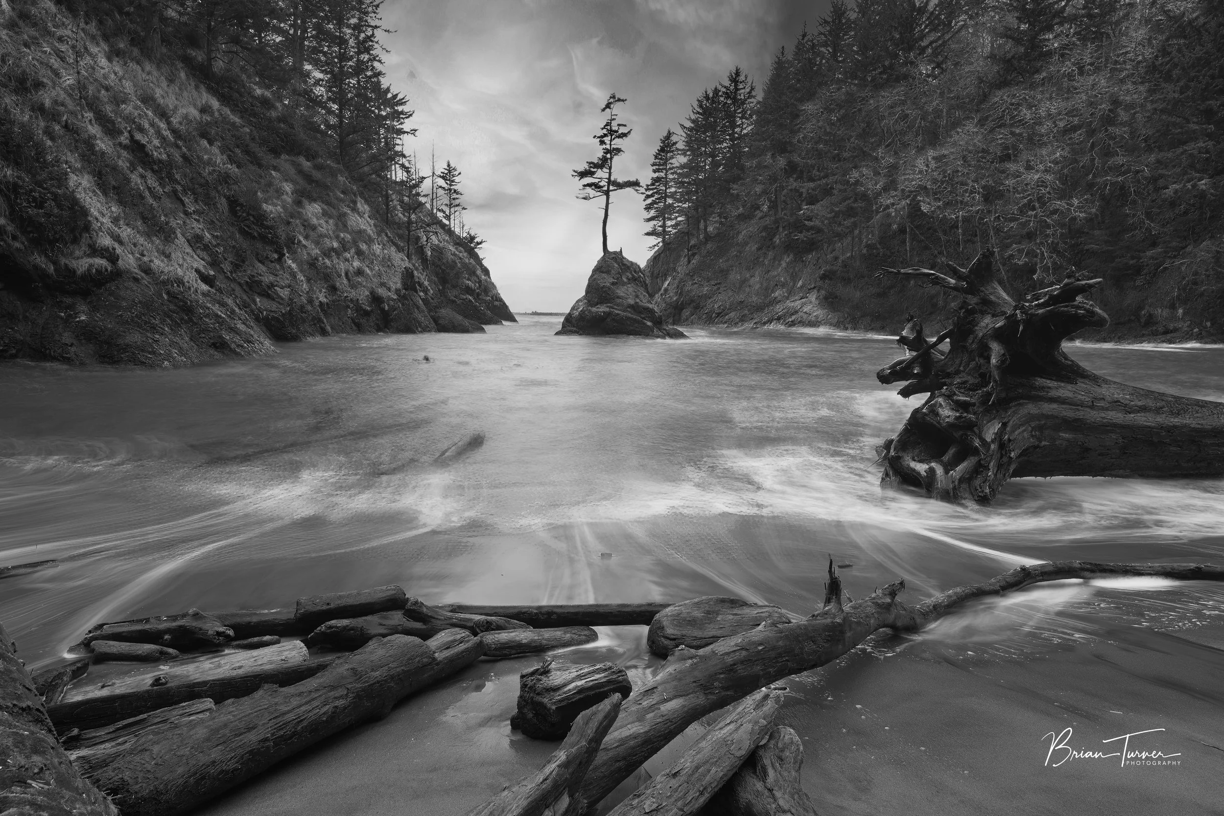 Moody Cove - Black and White