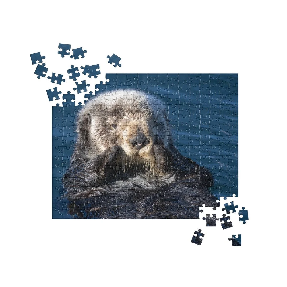 jigsaw-puzzle-252-pieces-front-68d30da63f167.jpg