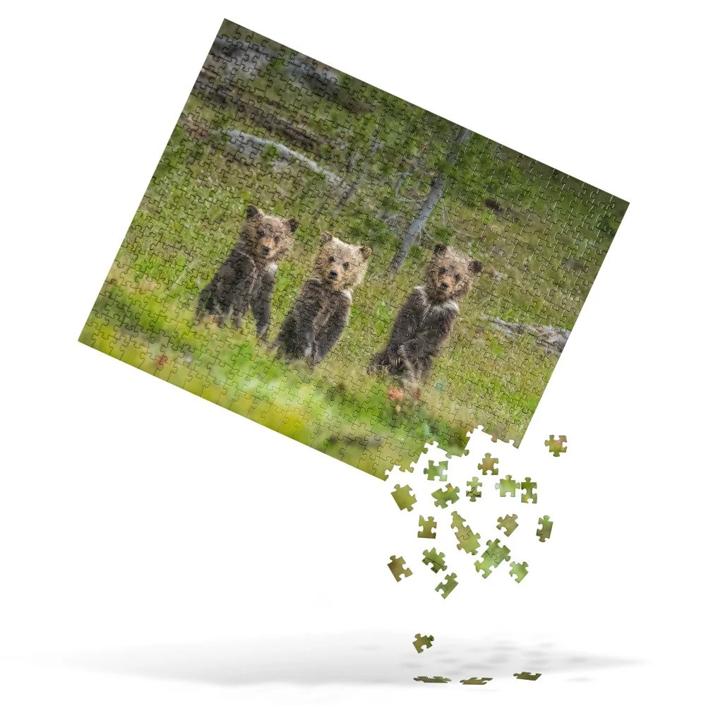 jigsaw-puzzle-520-pieces-front-68d308de66e27.jpg