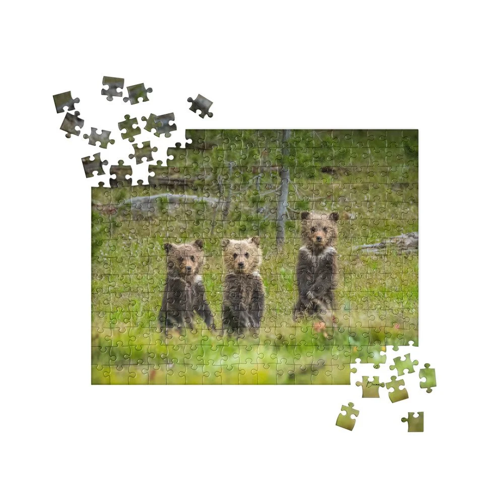 jigsaw-puzzle-252-pieces-front-68d308de669d8.jpg