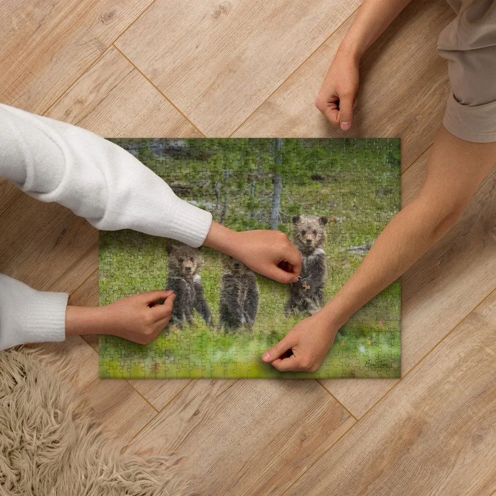 jigsaw-puzzle-520-pieces-front-68d308de66d5d.jpg