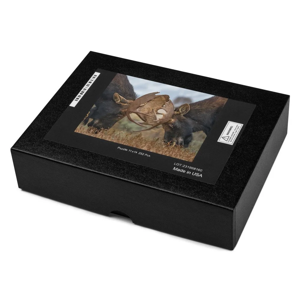 jigsaw-puzzle-252-pieces-product-details-2-68cca243bdf96.jpg