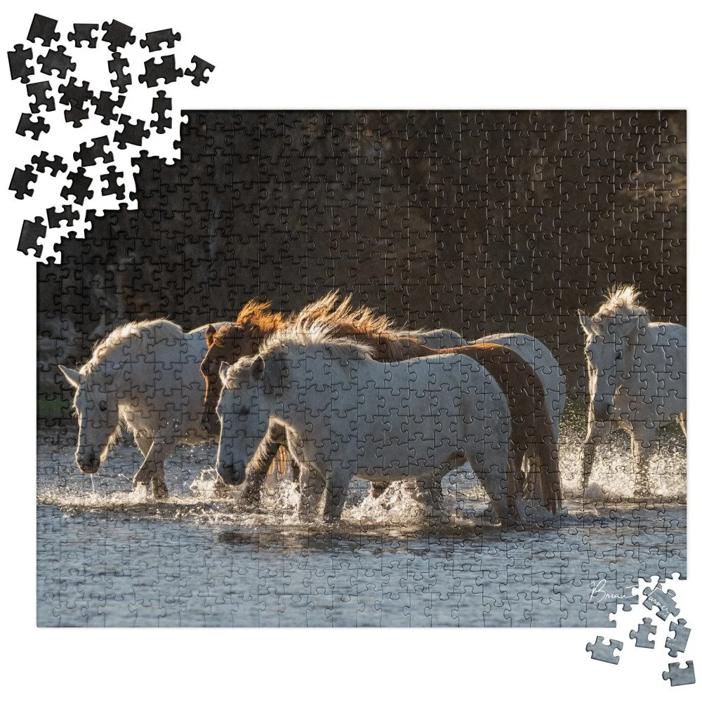 jigsaw-puzzle-520-pieces-front-692cae2f119de.jpg