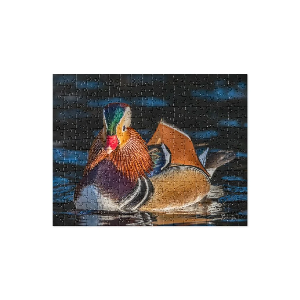 jigsaw-puzzle-252-pieces-front-68d30e0440978.jpg