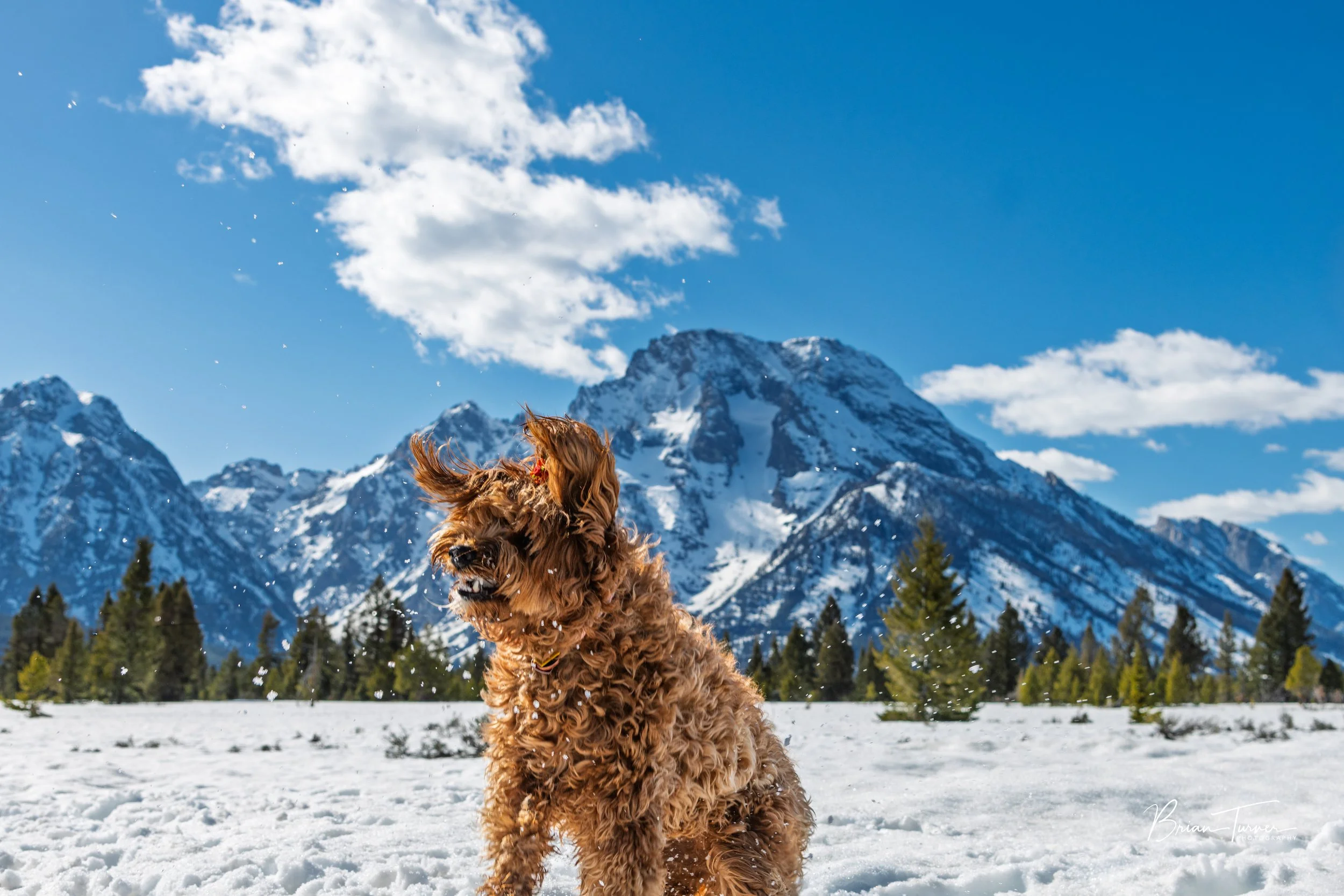 DSC_8414-Edit.jpg