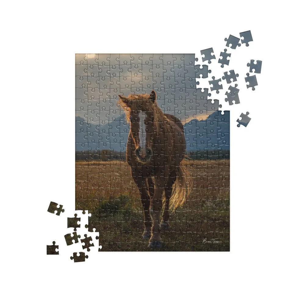 jigsaw-puzzle-252-pieces-front-68d30dc67b14b.jpg