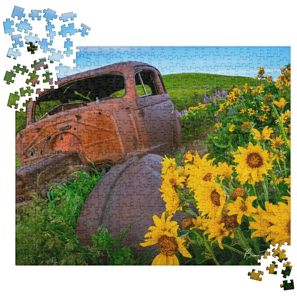 jigsaw-puzzle-520-pieces-front-692cae44dd704.jpg