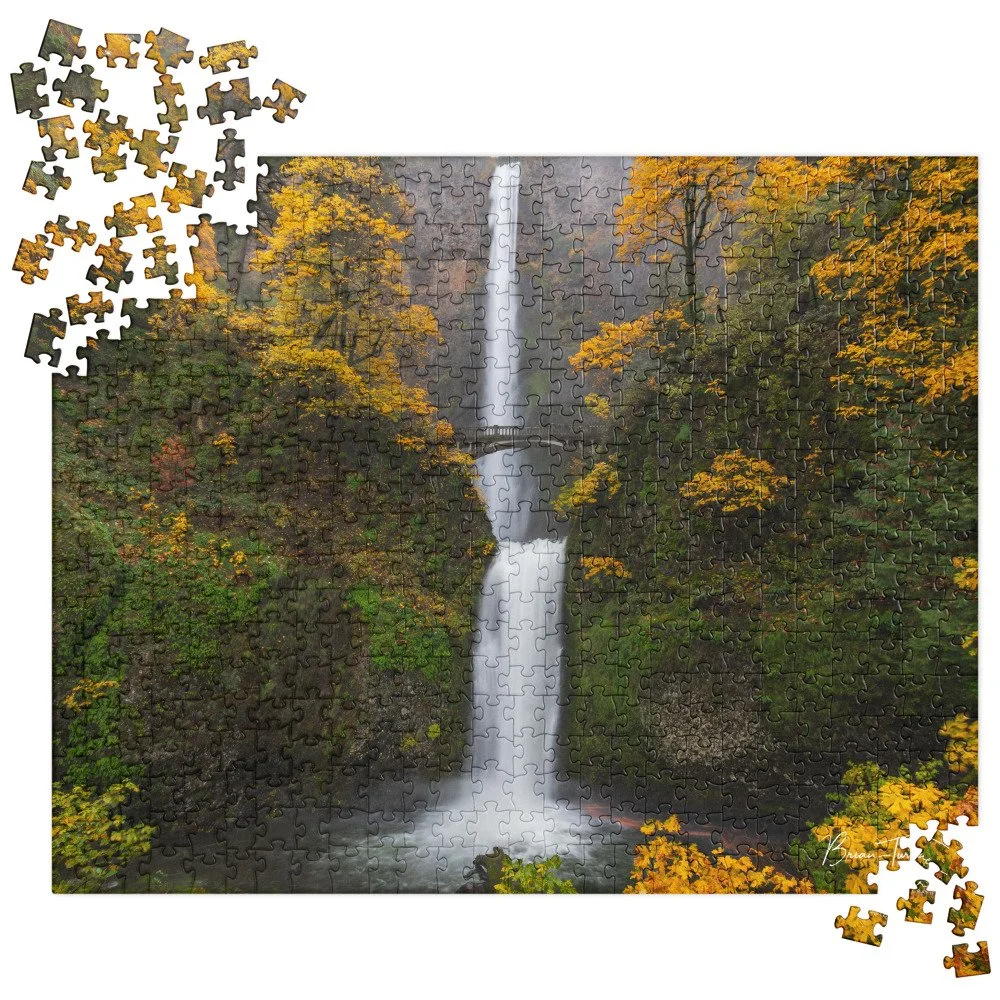 jigsaw-puzzle-520-pieces-front-692cae1350aa6.jpg