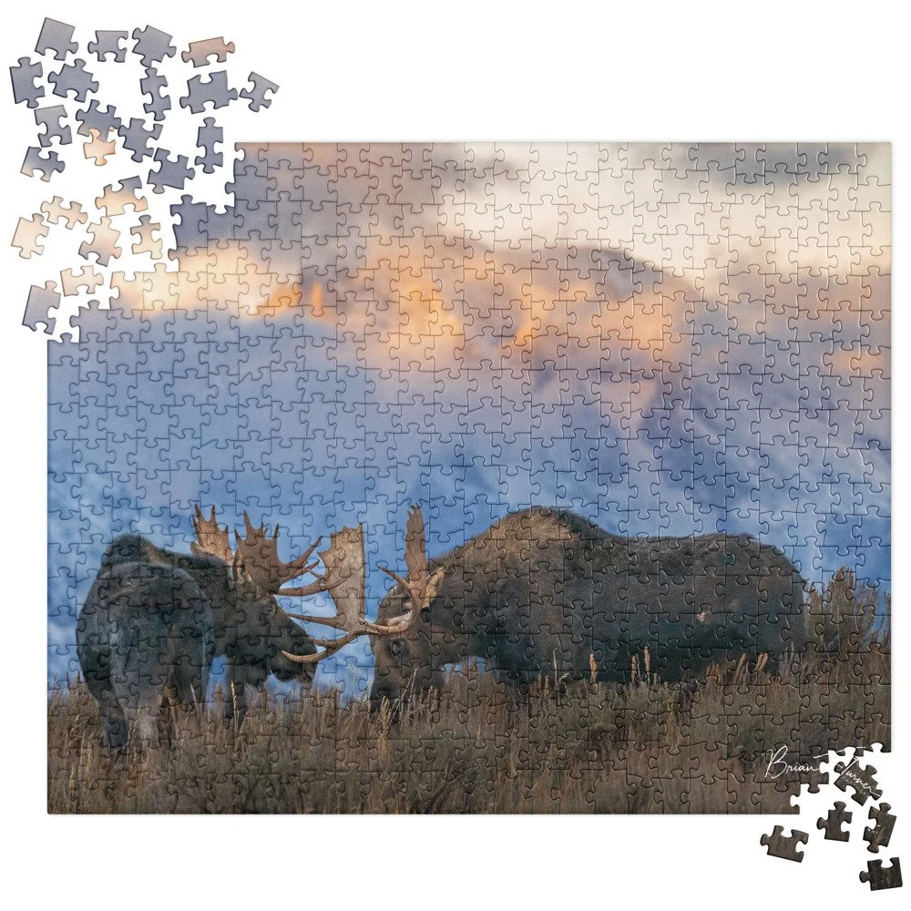 jigsaw-puzzle-520-pieces-front-691d41500d2df.jpg