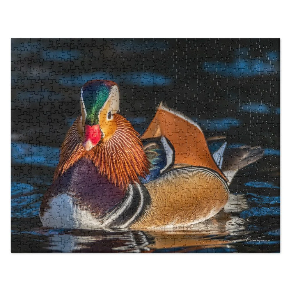 jigsaw-puzzle-520-pieces-front-68d30e0441000.jpg