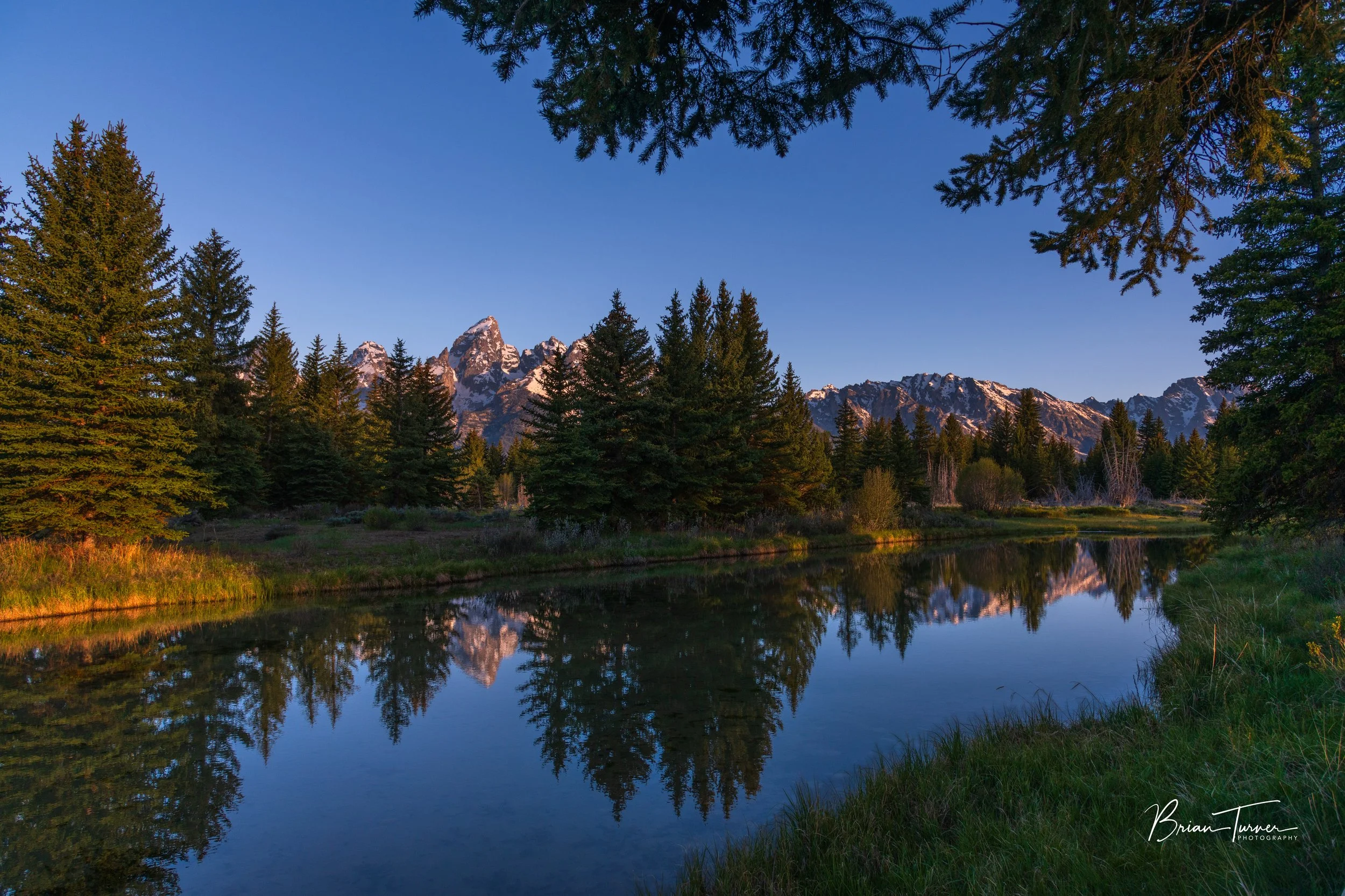 Schwabacher Morning Light