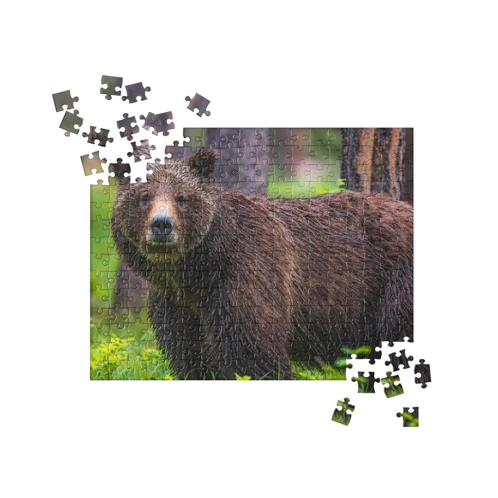 jigsaw-puzzle-252-pieces-front-68cca06b93c89.jpg