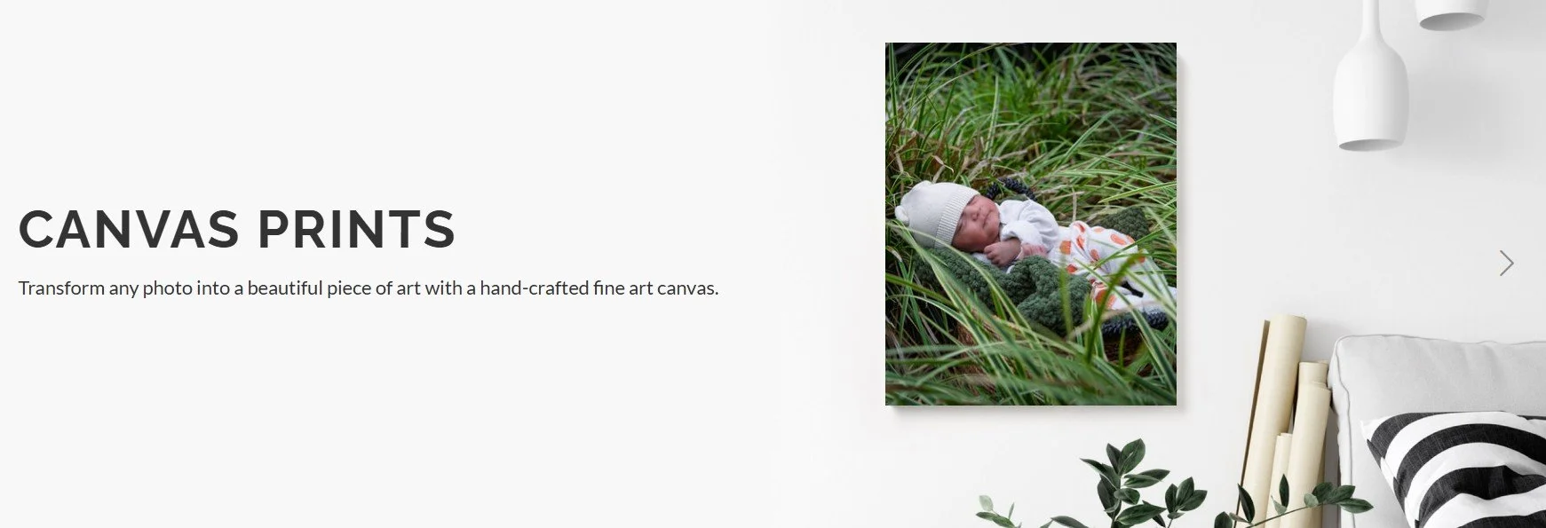 canvas prints.jpg