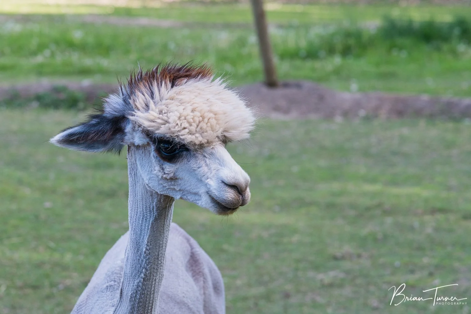 DSC_5212.jpg