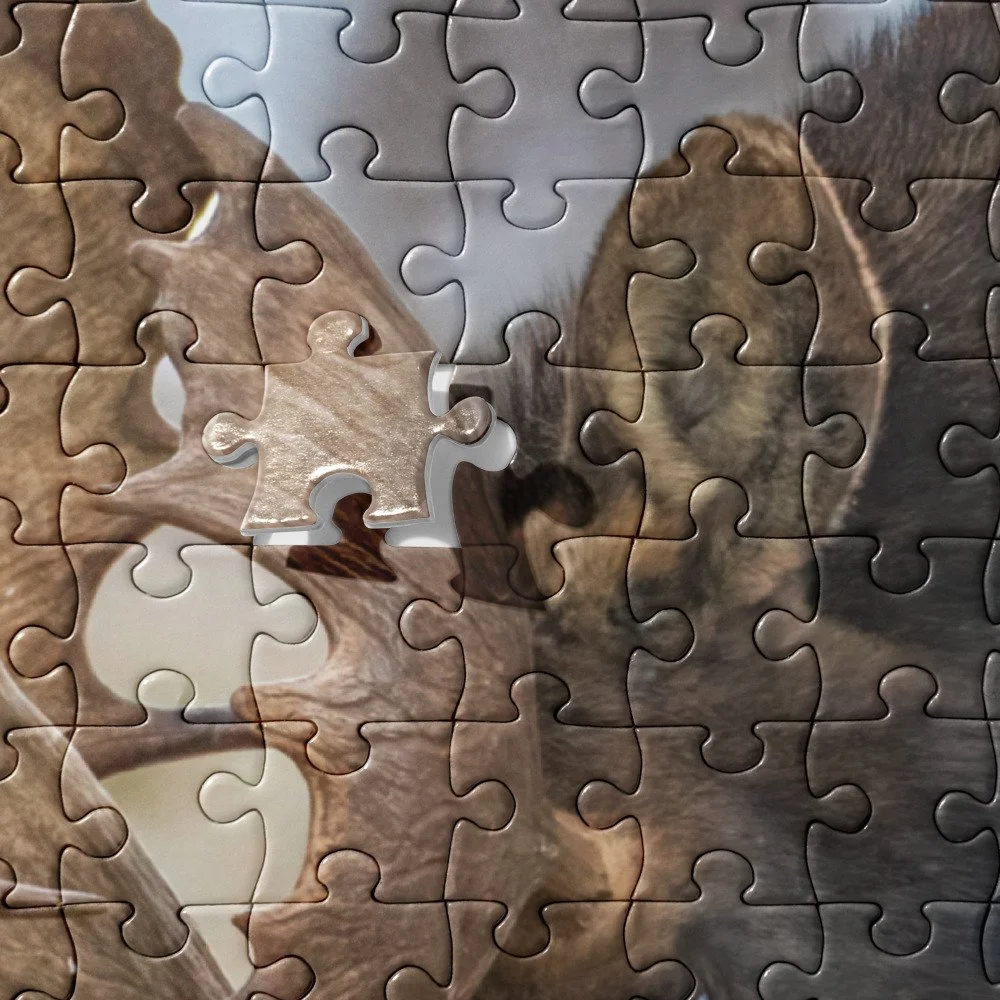 jigsaw-puzzle-252-pieces-product-details-68cca243bdf3a.jpg
