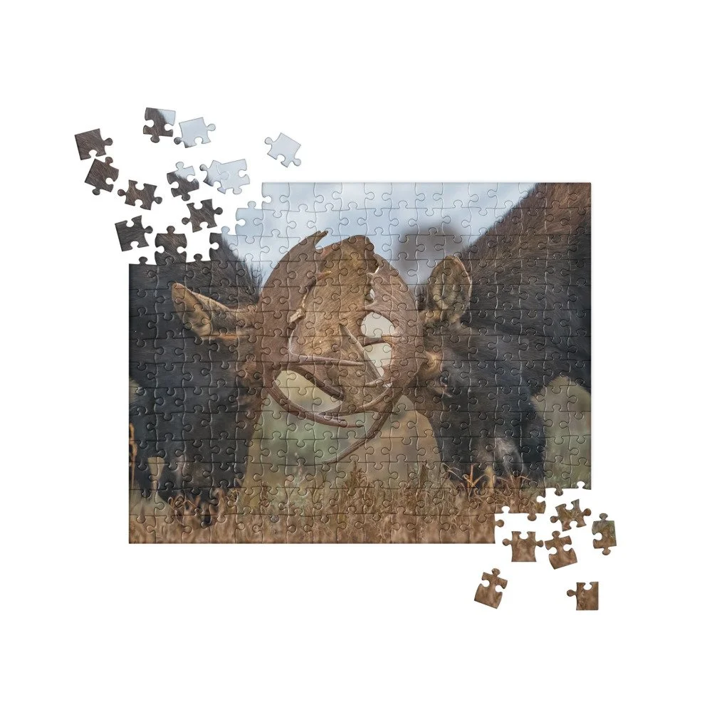 jigsaw-puzzle-252-pieces-front-68cca243bdede.jpg