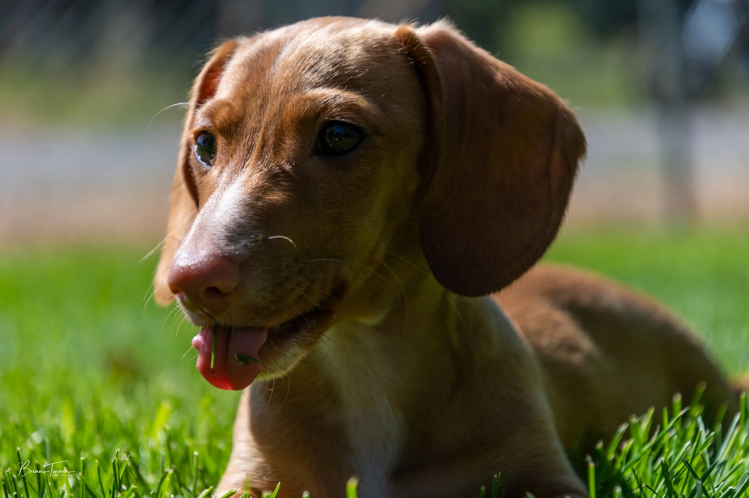 DSC_1588-5.jpg