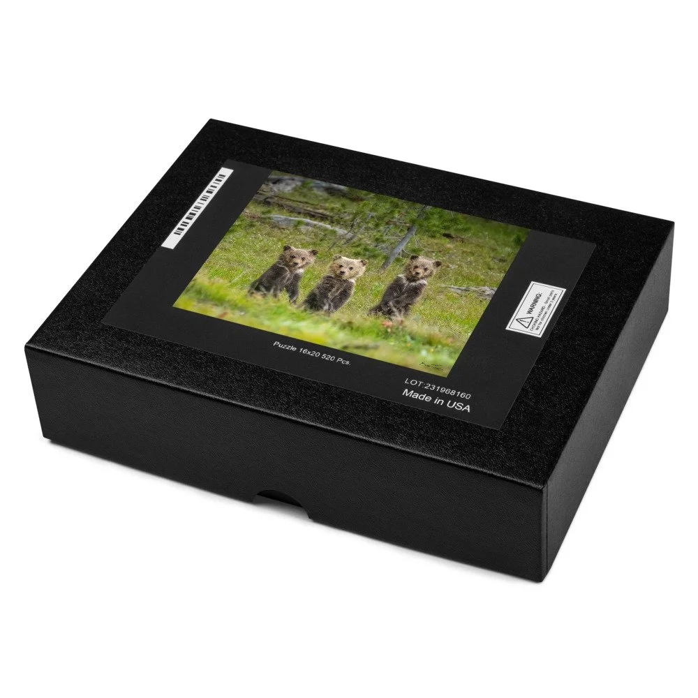 jigsaw-puzzle-520-pieces-product-details-2-68d308de670d1.jpg