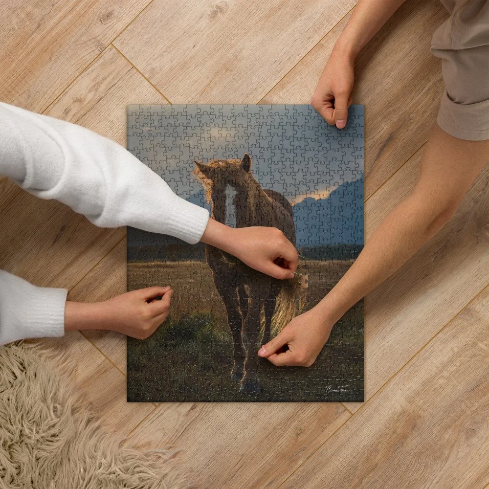 jigsaw-puzzle-520-pieces-front-68d30dc67b337.jpg