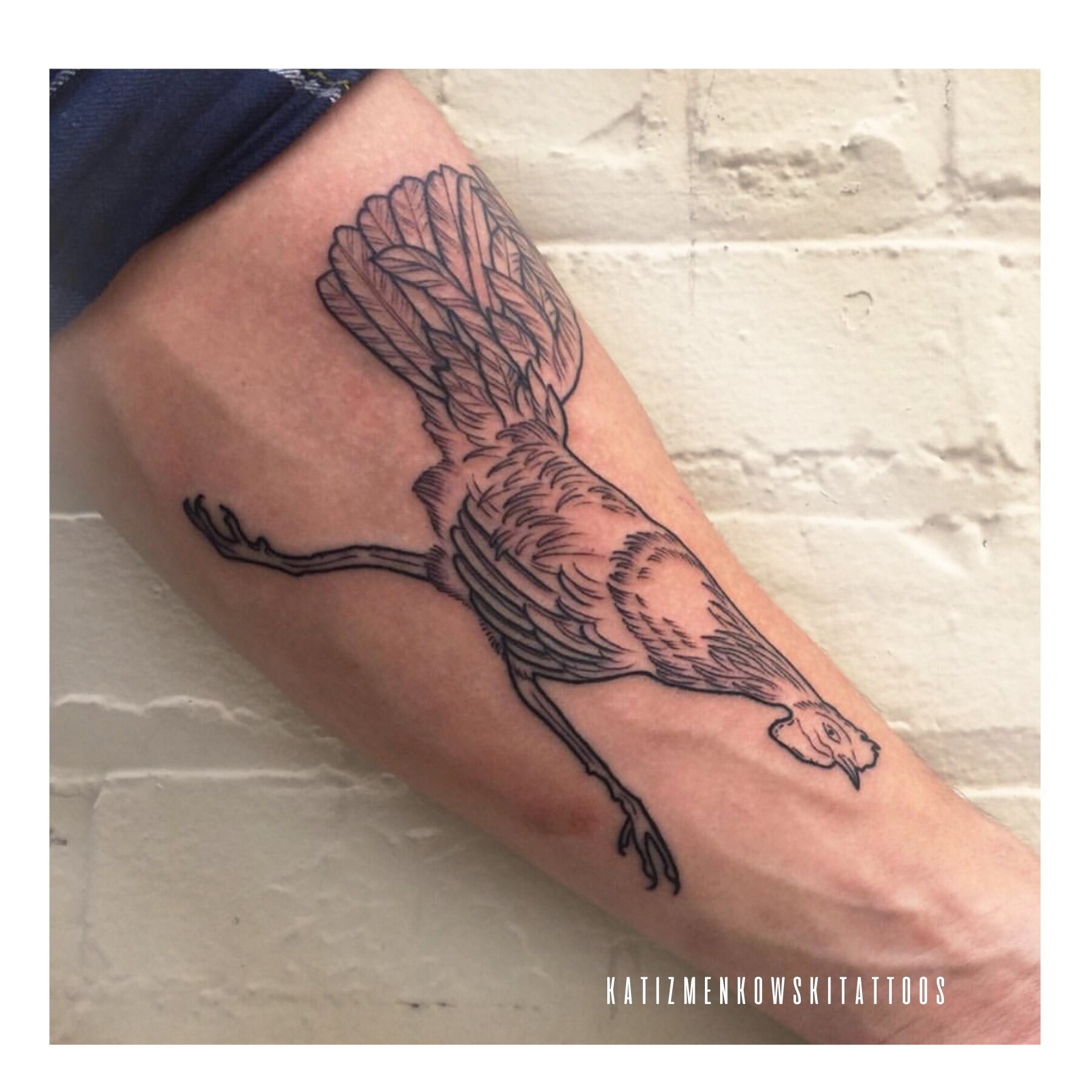 roadrunner bird tattoo  Google Search  TATTS  Pinterest  Bird    Runner tattoo Tattoos Custom ink