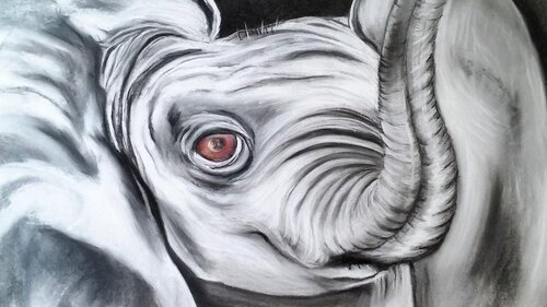 ELEPHANT.jpg