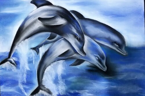 DOLPHINS.jpg