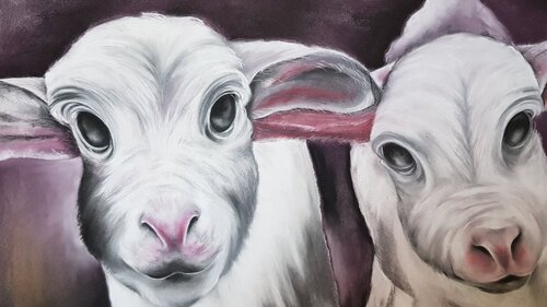 LAMBS.jpg