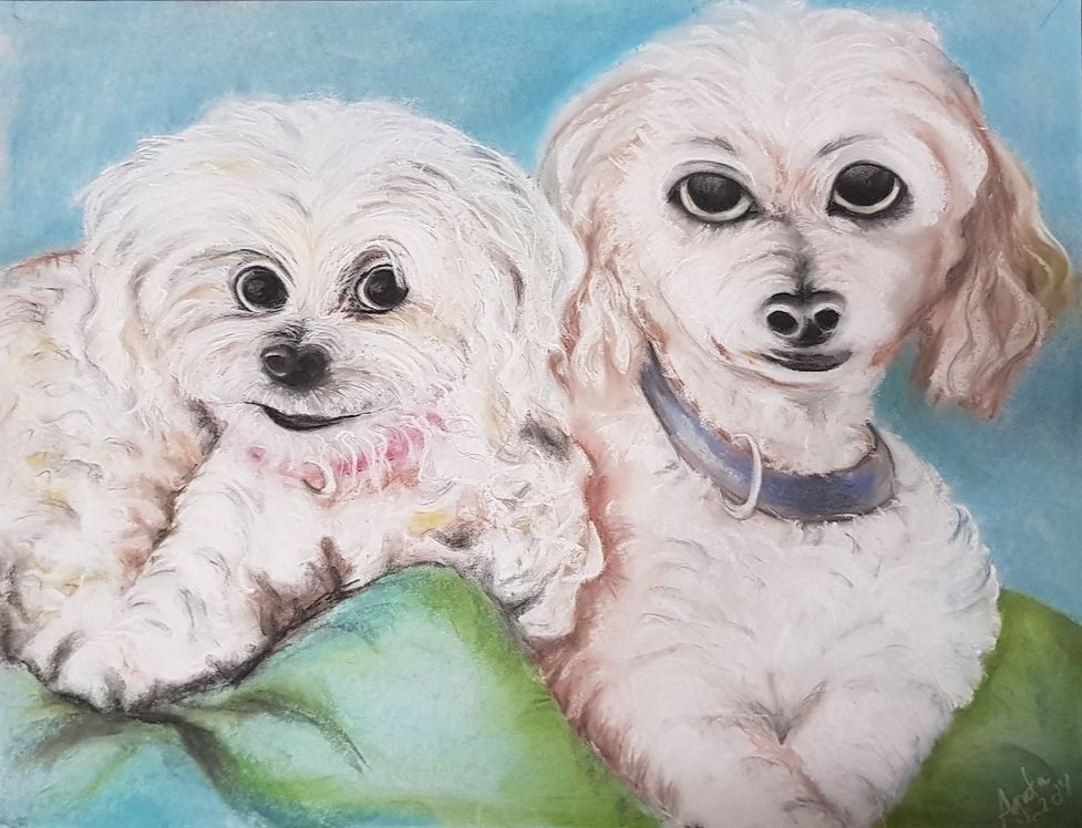 DOGS.jpg