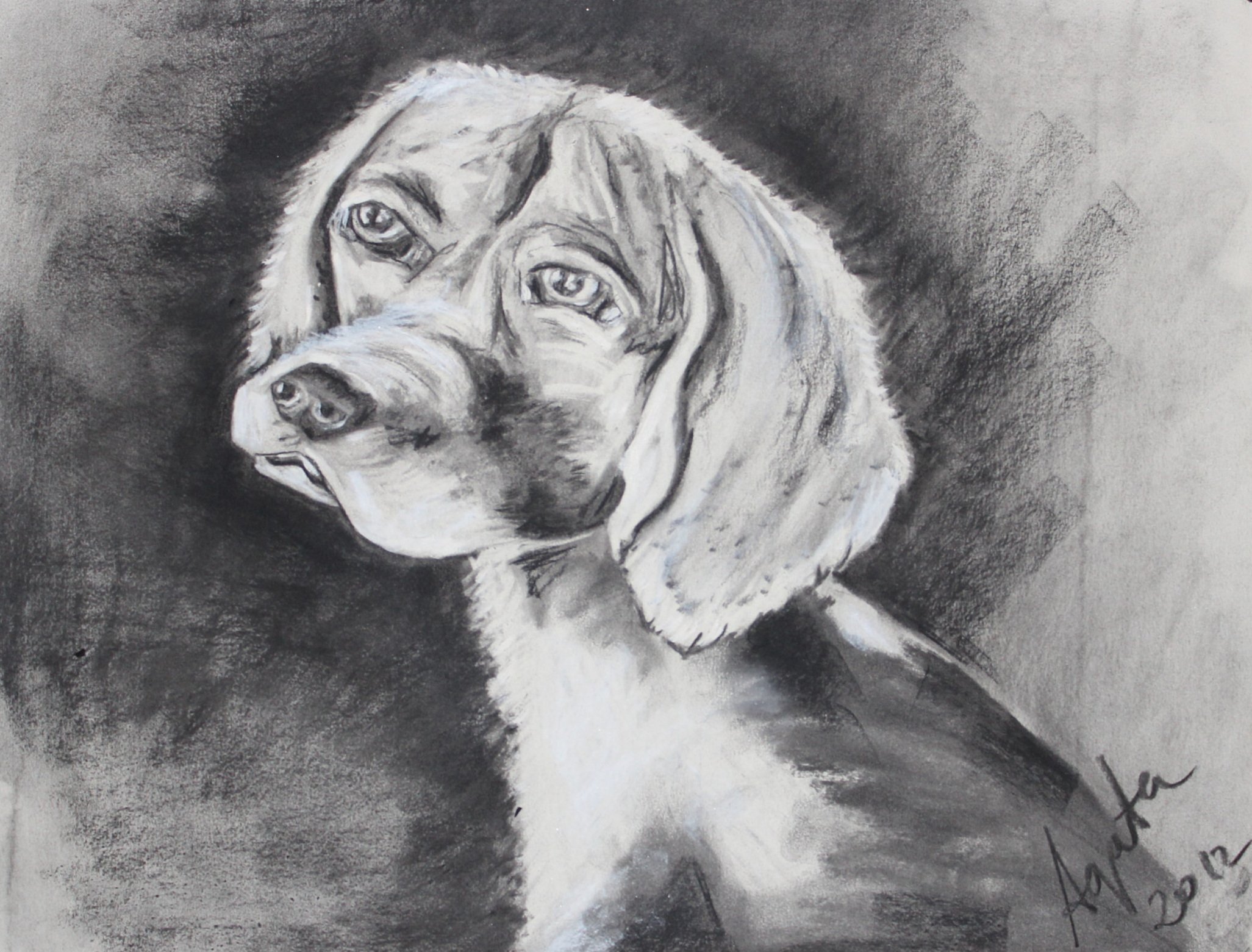 marley+charcoal+.jpg