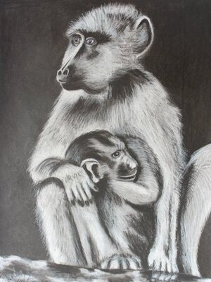 MONKEY.jpg
