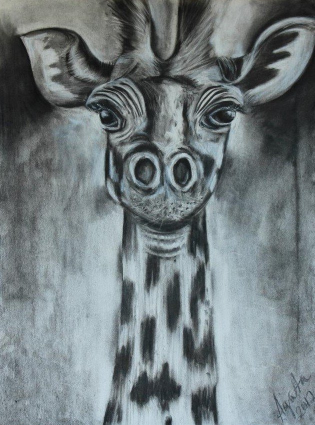 A Giraffe - charcoal on acid free paper (2).jpg