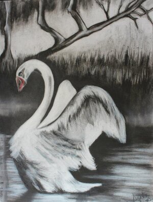 SWAN.jpg