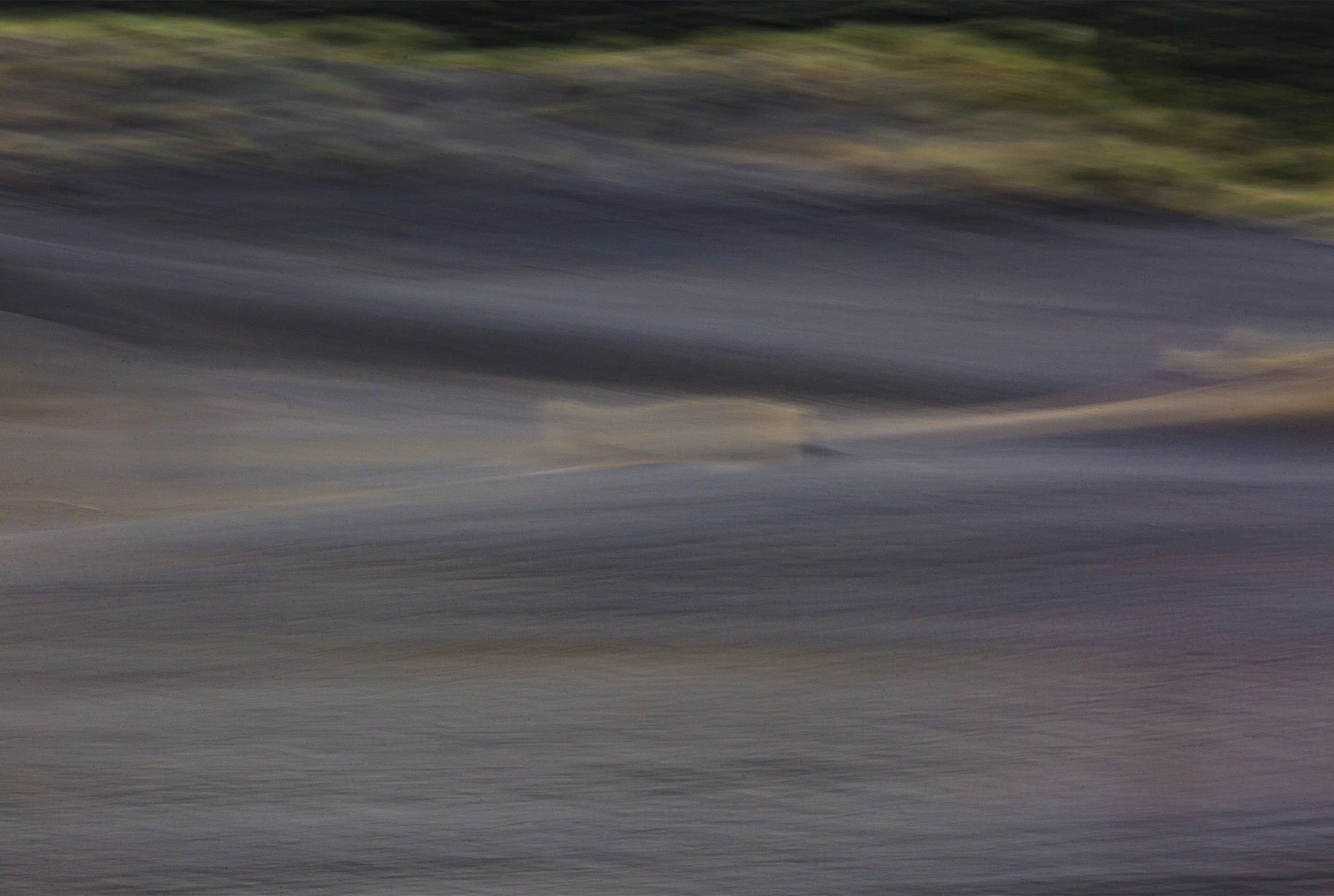 Sandhills Te Henga 37.jpg